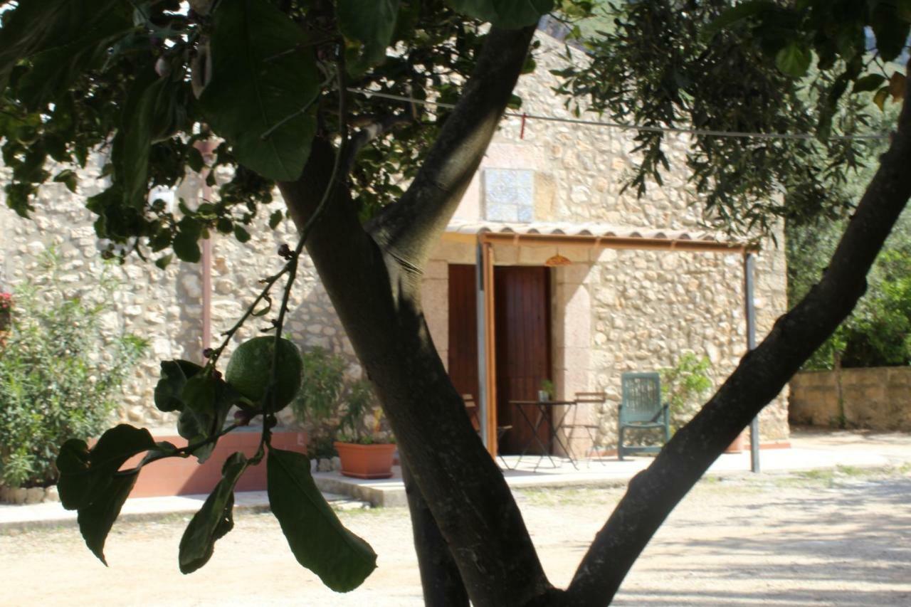 Rustici L'Antico Torchio Villa Castellammare del Golfo Exteriör bild